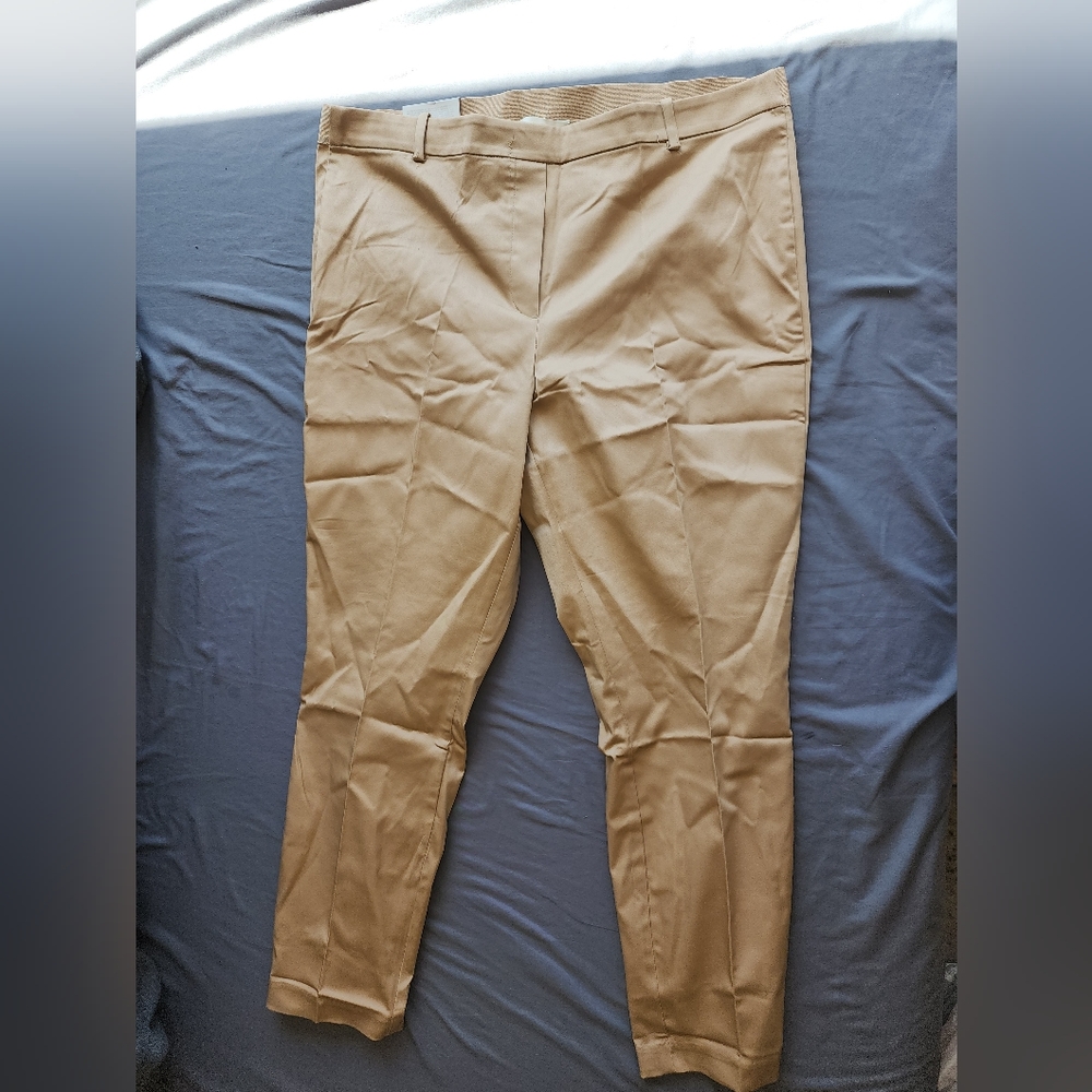 Khaki slacks